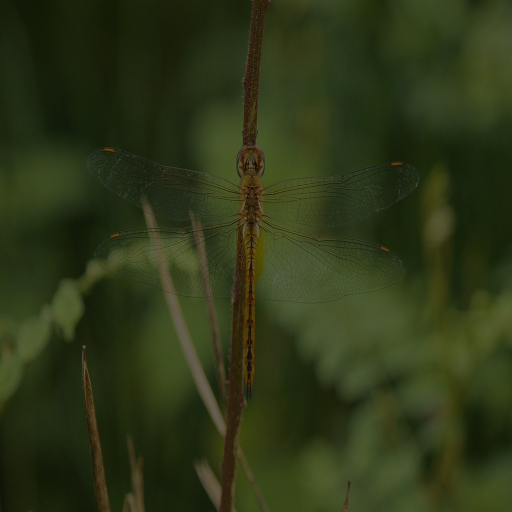 대구법인회생신청기업: 새로운 출발을 위한 모든 것